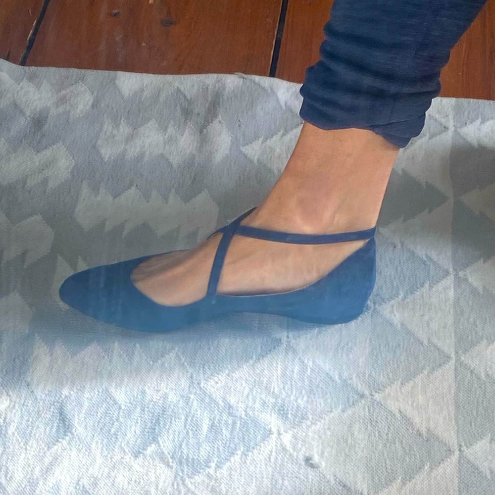 Suede Ballet shoe